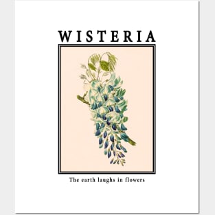 Flowers - Wisteria Posters and Art